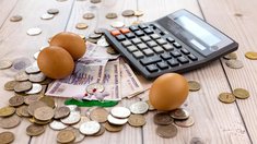 В 2025 году до аграриев Чеченской Республики доведено 100% господдержки в АПК 