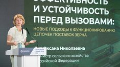 Минсельхоз РФ работает над развитием портовой, железнодорожной, речной и сухопутной инфраструктуры