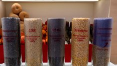 Семян для весеннего сева в России будет достаточно — эксперты