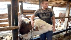 В Челябинской области введут грант «Агромотиватор» для ветеранов СВО