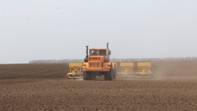 Более полумиллиона гектаров яровых культур засеяли аграрии Саратовской области