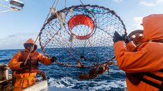 В Херсонской области создадут Ассоциацию рыбаков