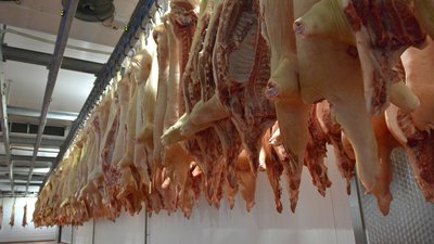 В Челябинской области выросло производство мяса, яиц и тепличных овощей