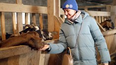 Фермеры Челябинской области зовут горожан за новыми впечатлениями и вкусами