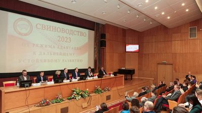В России увеличилось производство продукции свиноводства