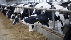 В Липецкой области стартовал 45-й региональный проект