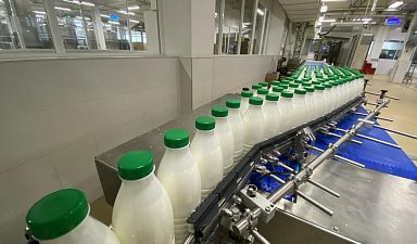 Аграрии ДНР нарастили производство кисломолочной продукции в 2023 году