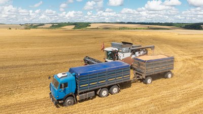 В Нижегородской области собрано 1,5 миллиона тонн зерна нового урожая