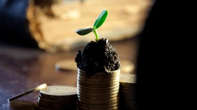 Калужские аграрии в 2023 году получили 1 177 млн руб. на развитие отраслей, обеспечивающих ускоренное импортозамещение