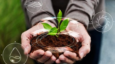 До аграриев Рязанской области доведено 855,35 млн руб. федеральных средств господдержки