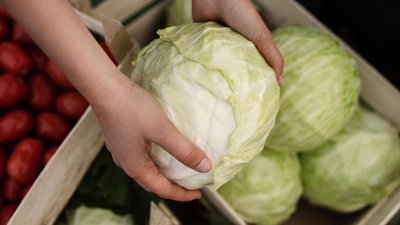 В Волгоградской области за неделю белокочанная капуста подешевела на 4,1%