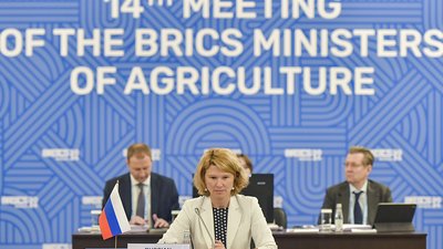 Страны БРИКС утвердят новый план по АПК с учетом присоединившихся государств