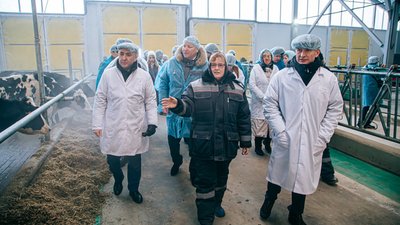 Инвестпроект на 500 голов КРС реализовывает ООО «Родина» в Ядринском округе Чувашии