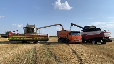 В Брянской области ведутся уборочные работы и сев озимых культур 
