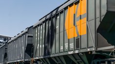 Экспорт продукции АПК Оренбургской области вырос более чем в три раза с начала года