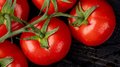 В «Чегем Агро» Кабардино-Балкарии собирают до 50 т томатов в день