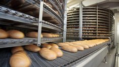 Ситуация на рынке хлеба и муки в России стабильная — Минсельхоз