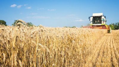 В Тверской области завершается уборочная кампания 