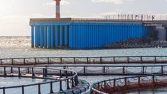 Производство продукции аквакультуры в РФ за десять лет выросло более чем вдвое