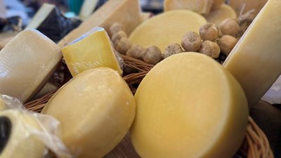 В декабре в Подмосковье откроют завод по производству сыров и молочной продукции