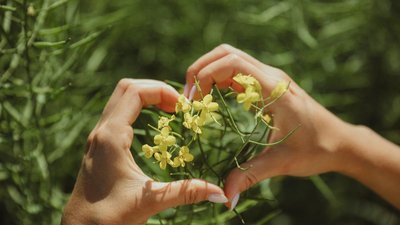 В Кузбассе за год на 82,3% увеличились запасы масличных