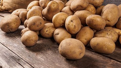 В Коми фермер получил авансом порядка миллиона рублей на посадку картофеля