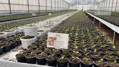 В Томской области стартовала малая посевная