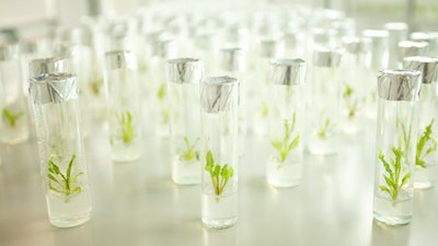 Курчатовский институт стал головной научной организацией ФНТП