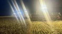В Томской области план уборочной выполнен почти на 80%