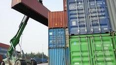 За полгода экспорт продукции АПК Московской области вырос почти на 7% и превысил 476 тыс. тонн