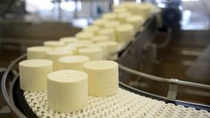 Нижегородский пищепром увеличил выпуск продукции на 5,7% за первое полугодие 2026 года