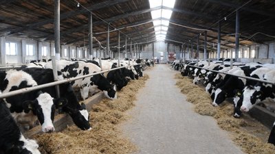 В Минсельхозе Башкортостана  определили лучшие молочные хозяйства