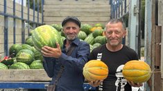 Аграрии Дагестана собрали первые 100 тысяч тонн арбузов