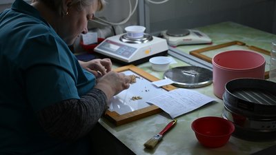 Свыше 1,1 тыс. тонн семян для посева в Запорожской области проверили