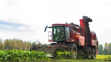 Аграрии Липецкой области накопали 3 млн тонн сахарной свеклы с 72 тыс. гектаров