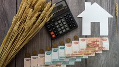 В Псковской области до аграриев доведено 805,2 млн руб. господдержки