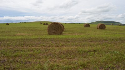 Хозяйства семи районов Забайкалья приступили к заготовке кормов на зимовку скота