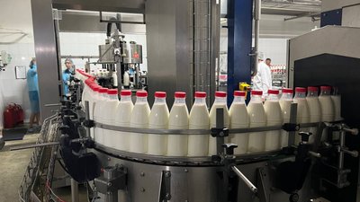 Молокоперерабатывающие предприятия Хабаровского края наращивают объемы производства