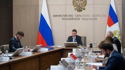 Посевная в России на завершающем этапе – сев проведен на 97% площадей