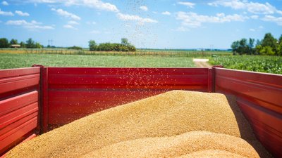 В Томской области убрано более 35% площади под зерновые и зернобобовые