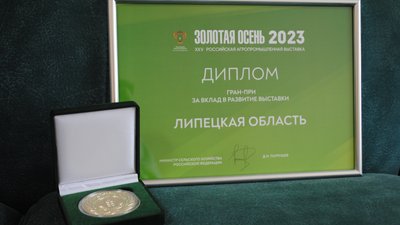 18 медалей и Гран-при выставки привезли липчане  с «Золотой осени»