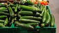 В самарской рознице огурцы подешевели на 12,3% за неделю