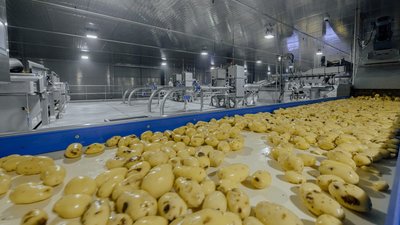 Производственные корпуса второй линии завода по переработке картофеля построили в ОЭЗ «Липецк»
