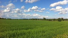 Вологодская область готова к началу посевной кампании