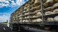 В России расширили перечень техники для льготного лизинга