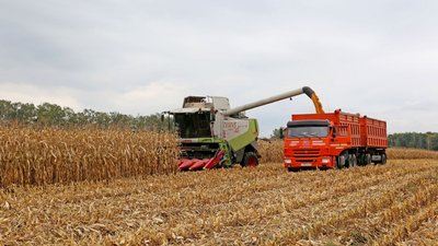В Белгородской области продолжаются полевые работы