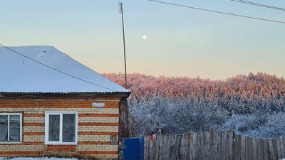 В сфере АПК и ветеринарии Чувашии внедряют цифровую систему для автоматизации работы