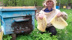 В Чувашии семейная пасека увеличила производство меда благодаря грантовой поддержке