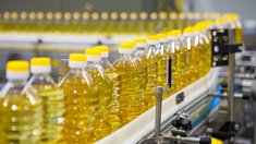 Липецкая область продолжает наращивать экспорт масложировой продукции