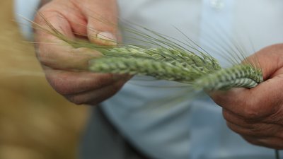 В Тукаевском районе прошел семинар-совещание по вопросам формирования урожая